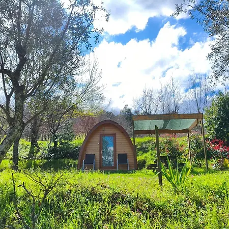 Quinta Cegonhas Guest house Gouveia (Guarda)